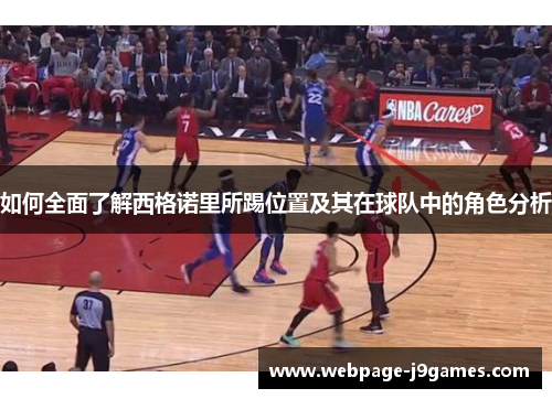 如何全面了解西格诺里所踢位置及其在球队中的角色分析 如何全面了解西格诺里所踢位置及其在球队中的角色分析