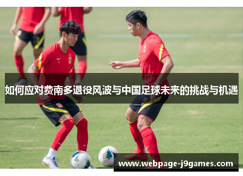 如何应对费南多退役风波与中国足球未来的挑战与机遇